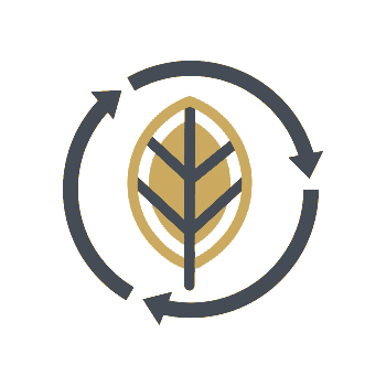 Environmental Impact Icon